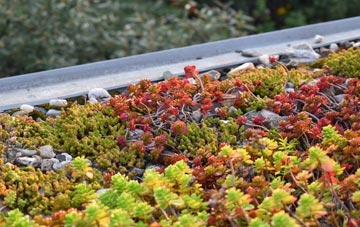 the cost of Borness green roof installation