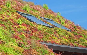 Borness living roof systems